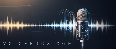 Blog Post - What is Voicebros?