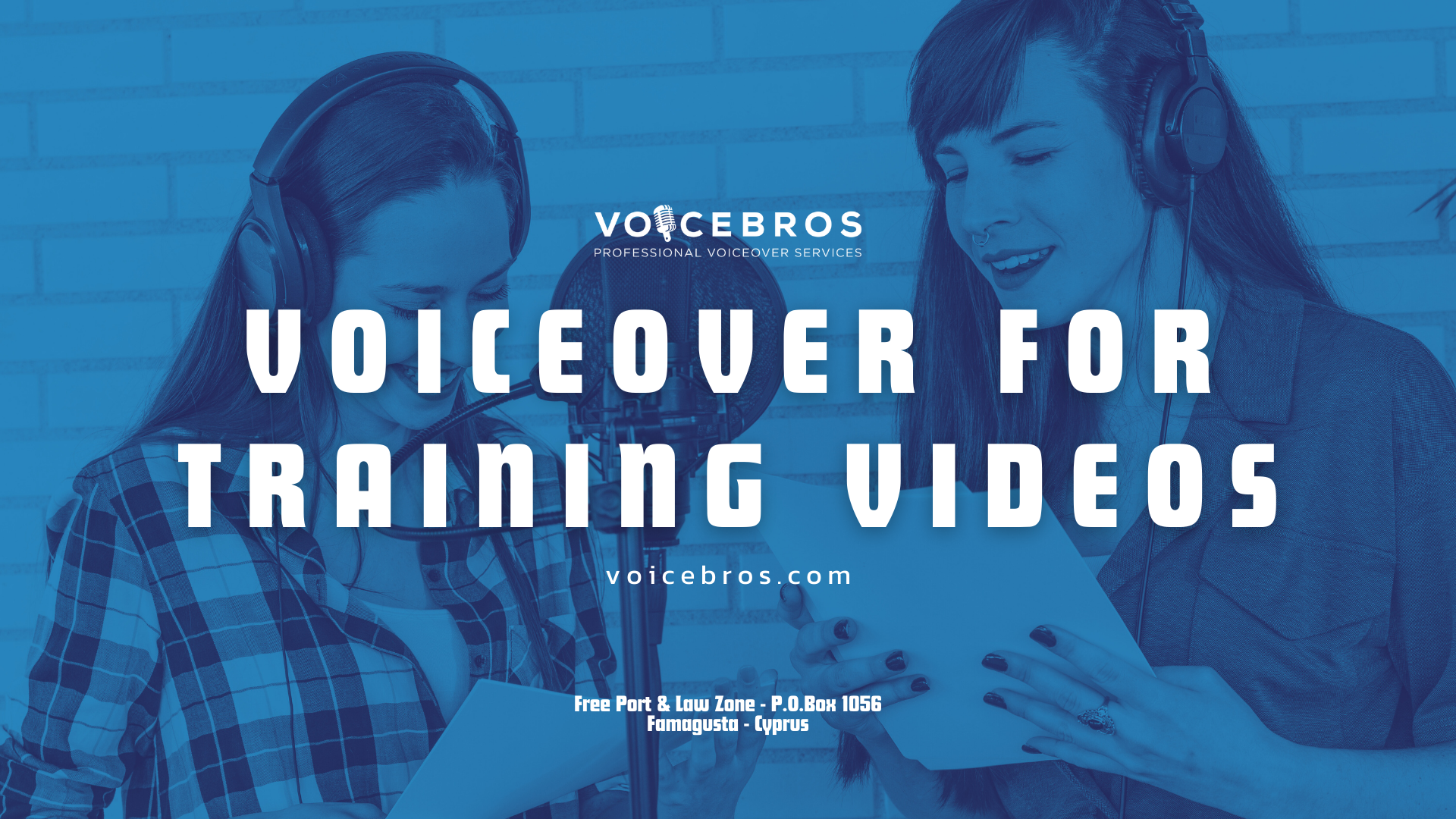 Voice Over For Training Videos